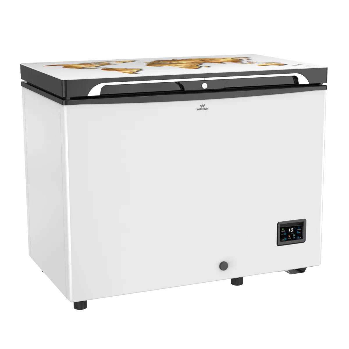 Walton Freezer WCG-2E5-GELE-CX — 2