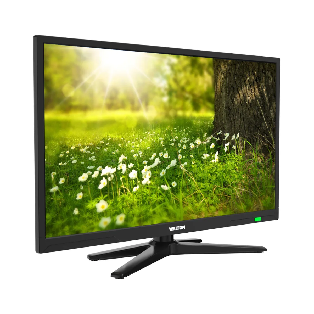 Walton LED TV W24D29 — 2