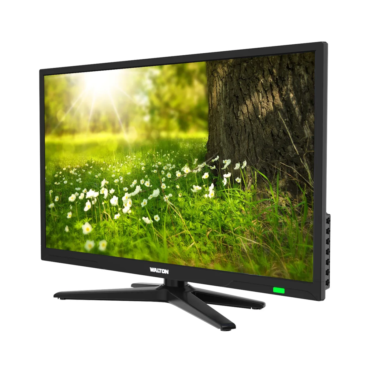 Walton LED TV W24D29 — 3