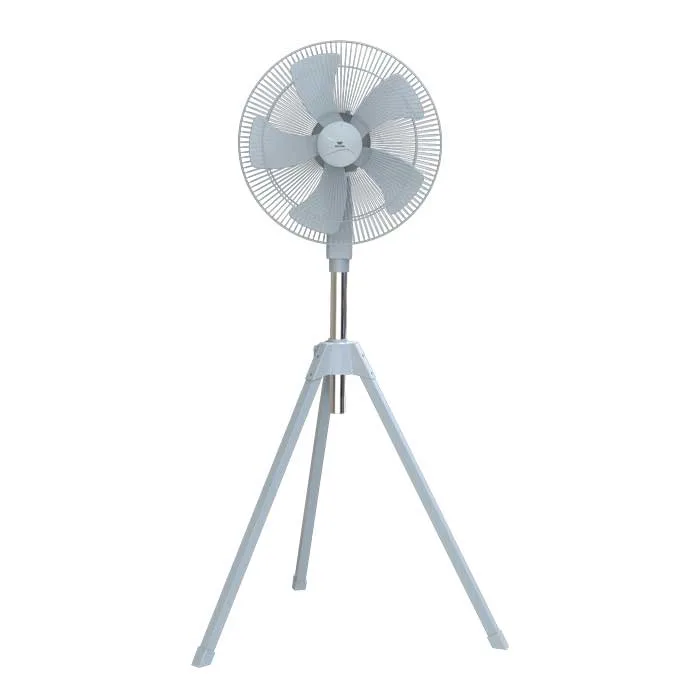Walton Pedestal Fan WPF18D-PBC product image