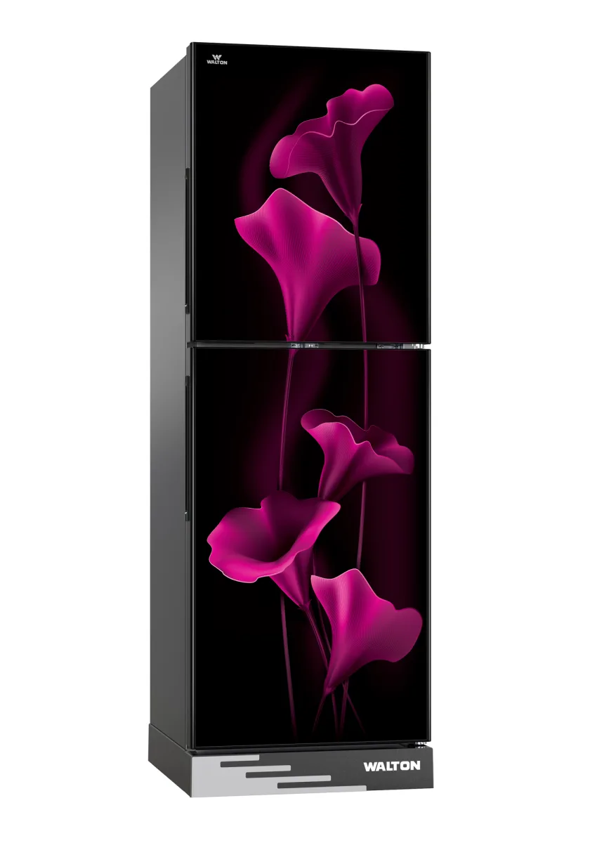Walton Refrigerator WFA-2D4-GDXX-XX — 2