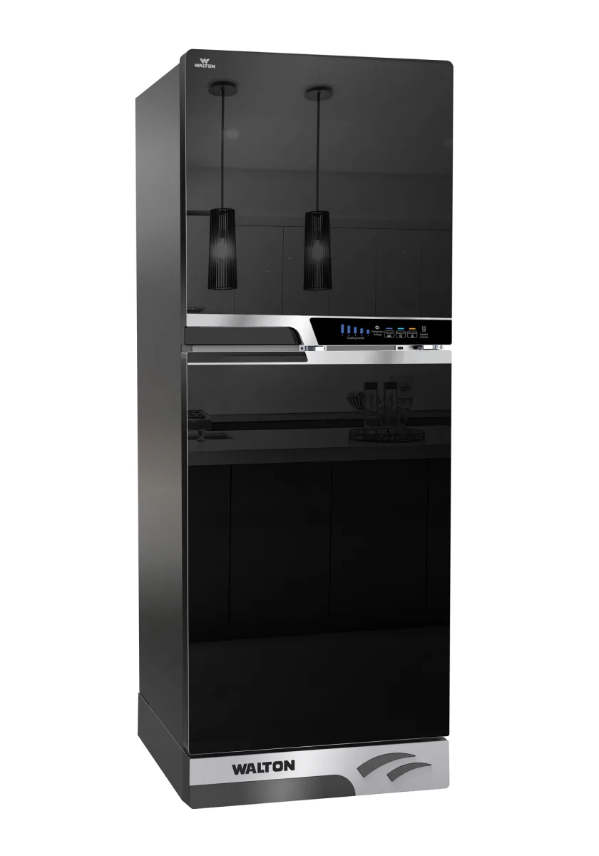 Walton Refrigerator WFE-2N5-GDEN-DD (Inverter) — 2